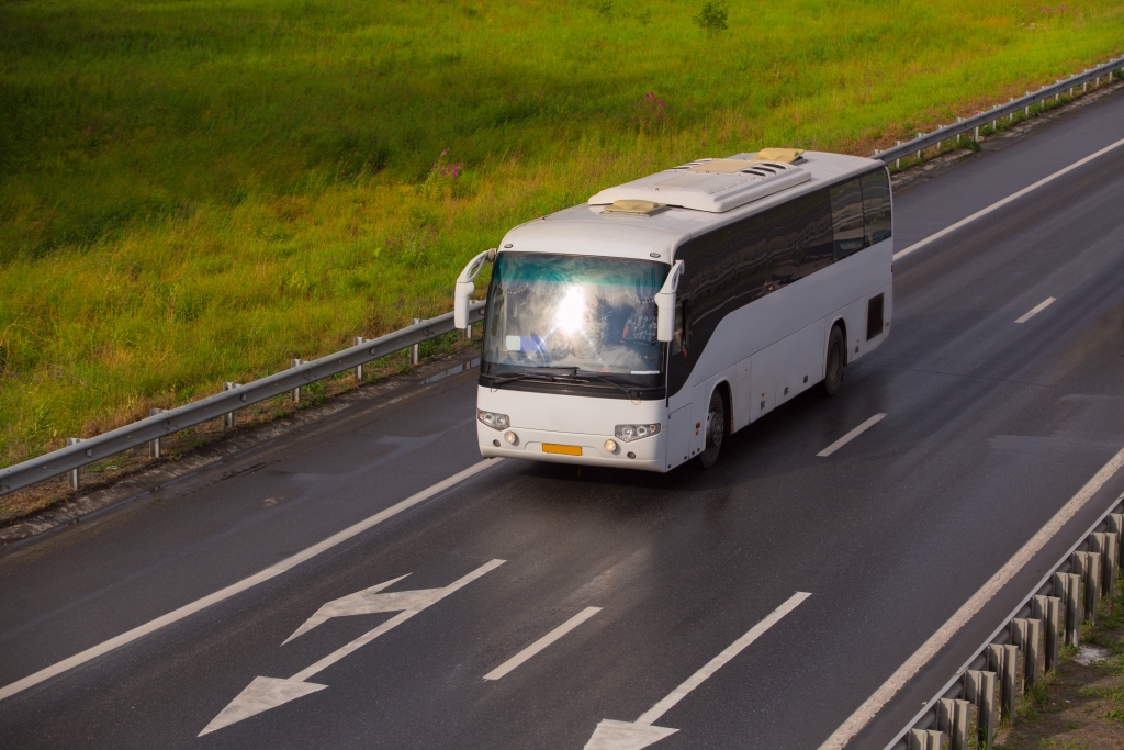 Buss2.jpeg