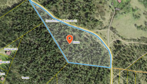 Kuvatõmmis 2026-10-21 103619